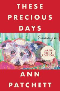 Cover image for These Precious Days: Essays