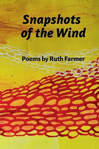 Cover image for Snapshots of the Wind