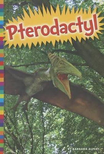 Cover image for Pterodactyl