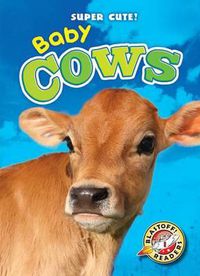 Cover image for Baby Cows