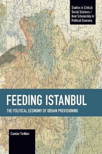 Cover image for Feeding Istanbul: The Political Economy of Urban Provisioning