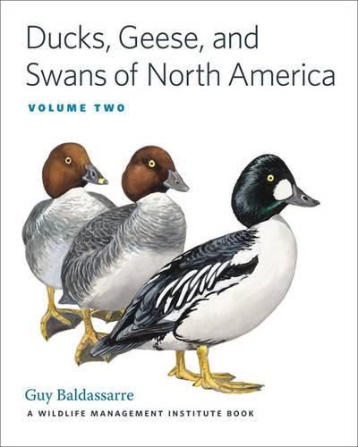 Cover image for Ducks, Geese, and Swans of North America