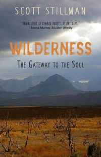 Cover image for Wilderness, The Gateway To The Soul: Spiritual Enlightenment Through Wilderness