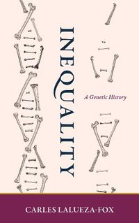 Cover image for Inequality