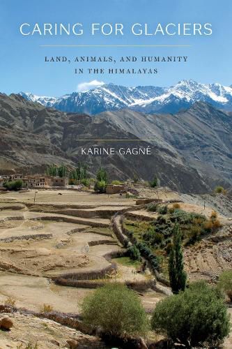 Cover image for Caring for Glaciers: Land, Animals, and Humanity in the Himalayas