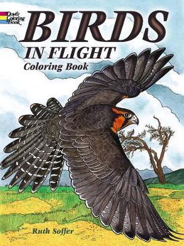 Cover image for Birds in Flight Coloring Book