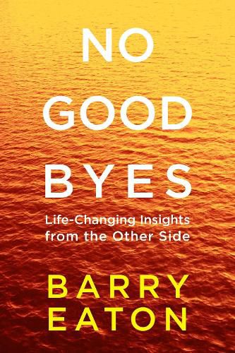 No Goodbyes: Life-Changing Insights from the Other Side