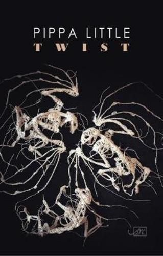 Cover image for Twist