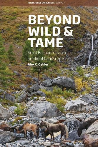 Cover image for Beyond Wild and Tame: Soiot Encounters in a Sentient Landscape