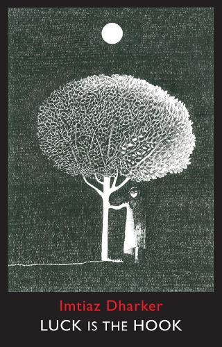 Cover image for Luck is the Hook