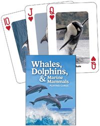 Cover image for Whales, Dolphins, and Marine Mammals Playing Cards