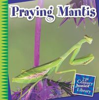 Cover image for Praying Mantis