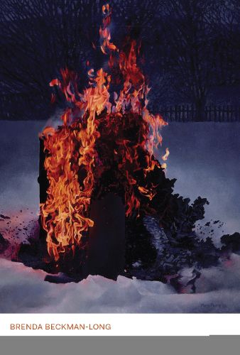 Cover image for Carol Shields and the Writer-Critic