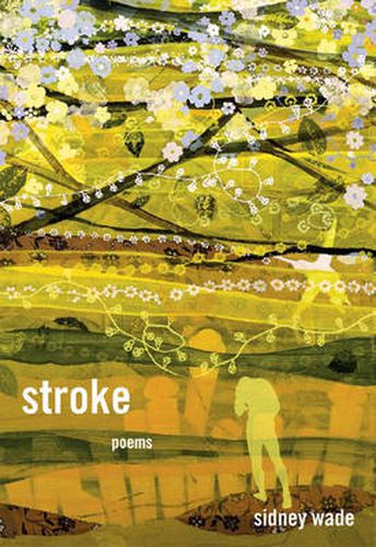 Cover image for Stroke: Poems