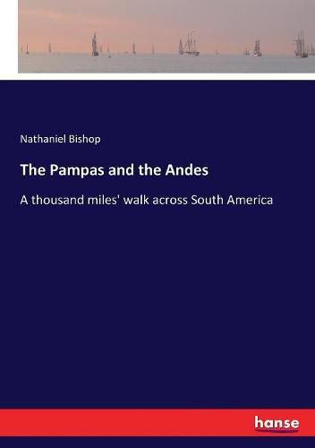 Cover image for The Pampas and the Andes: A thousand miles' walk across South America