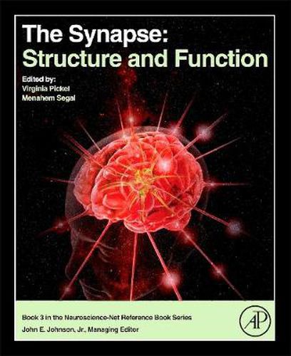 Cover image for The Synapse: Structure and Function