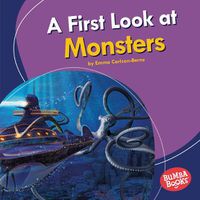 Cover image for A First Look at Monsters