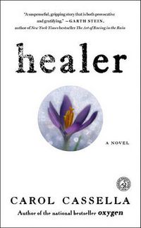 Cover image for Healer: A Novel