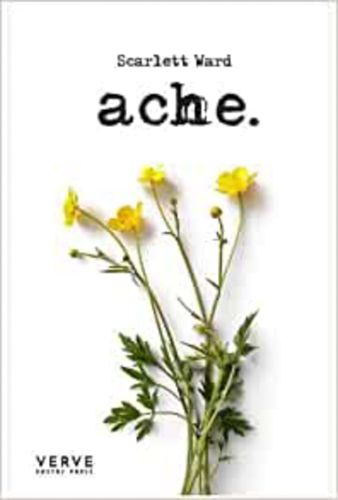 Cover image for Ache