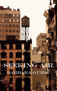 Cover image for Seeking Air