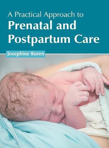 Cover image for A Practical Approach to Prenatal and Postpartum Care