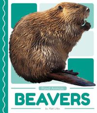 Cover image for Beavers