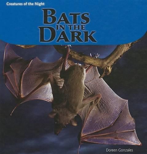 Cover image for Bats in the Dark