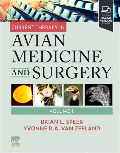 Cover image for Current Therapy in Avian Medicine and Surgery Volume II