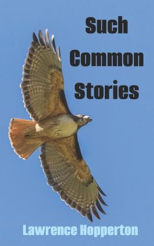 Cover image for Such Common Stories