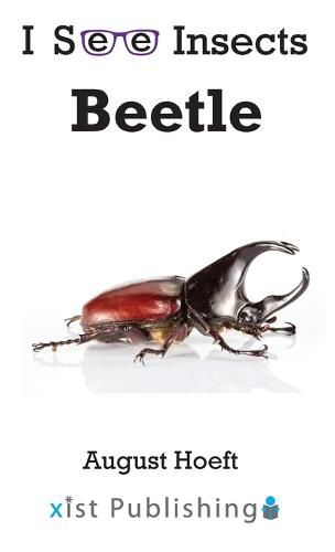 Beetle