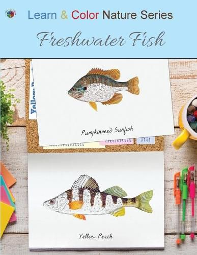 Cover image for Freshwater Fish