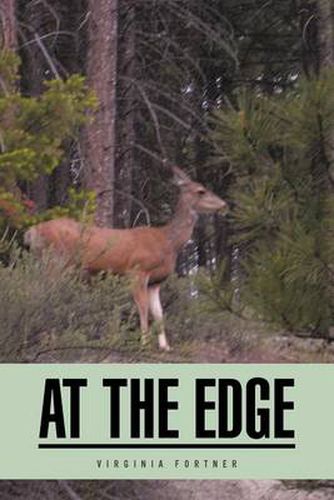Cover image for At the Edge