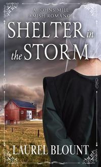 Cover image for Shelter in the Storm