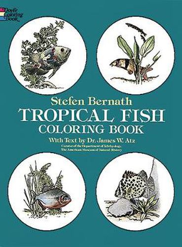 Cover image for Tropical Fish Coloring Book