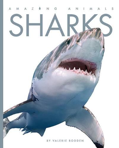 Cover image for Sharks