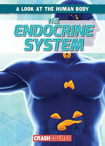 Cover image for The Endocrine System