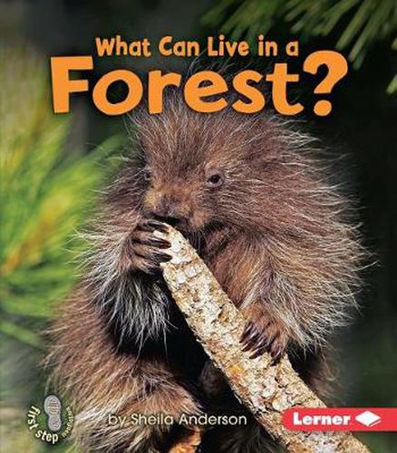 Cover image for What Can Live In A Forest