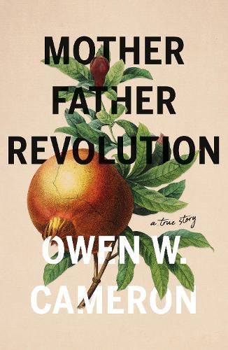 Cover image for Mother Father Revolution