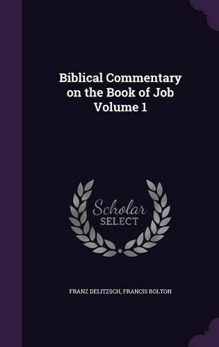 Cover image for Biblical Commentary on the Book of Job Volume 1