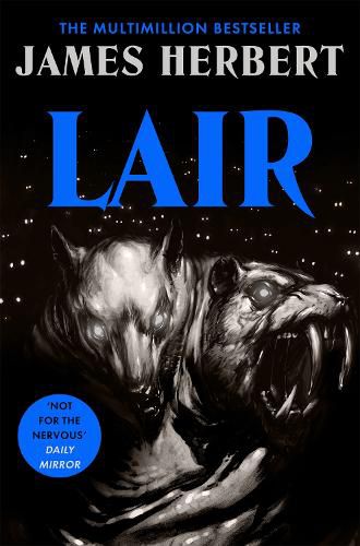 Cover image for Lair