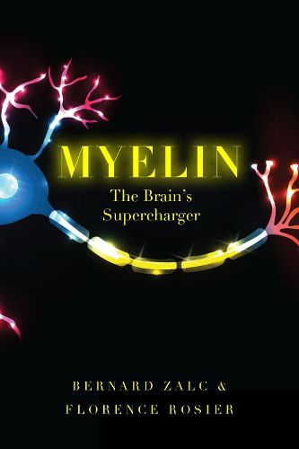 Cover image for Myelin: The Brain's Supercharger