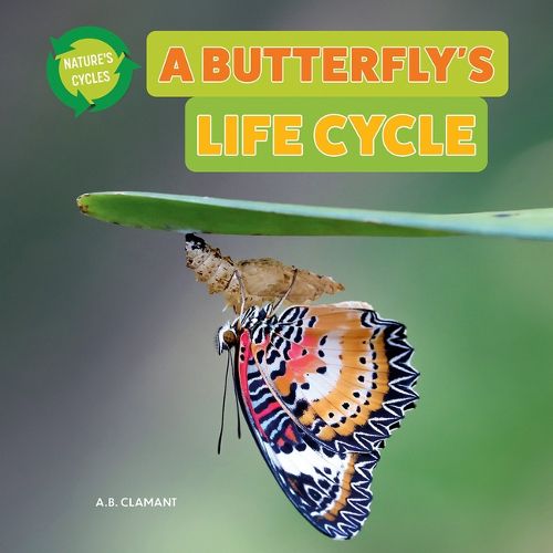 Cover image for A Butterfly's Life Cycle