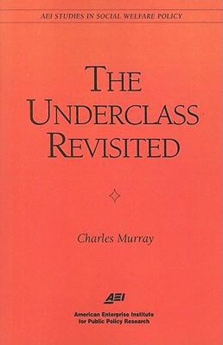 The Underclass Revisited