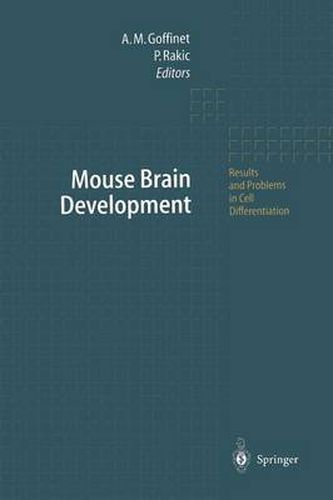 Cover image for Mouse Brain Development