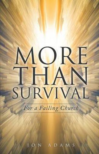 Cover image for More Than Survival