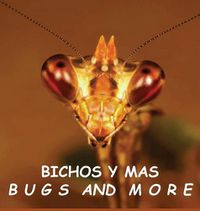 Cover image for Bichos y Mas: Bugs and More