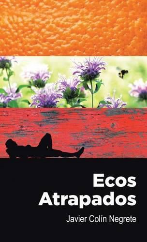 Cover image for Ecos atrapados