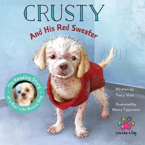 Cover image for Crusty and His Red Sweater