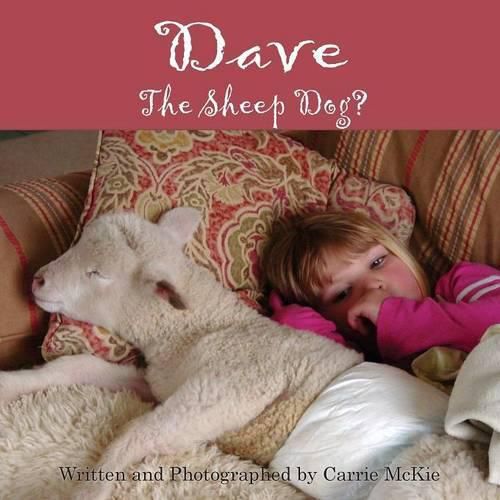 Cover image for Dave the Sheep Dog?