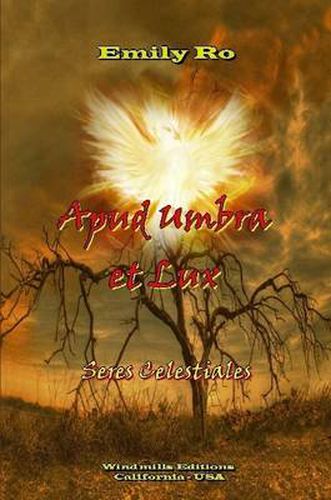 Cover image for Apud Umbra Et Lux